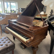1906 Steinway Model A ice cream cone leg grand - Grand Pianos